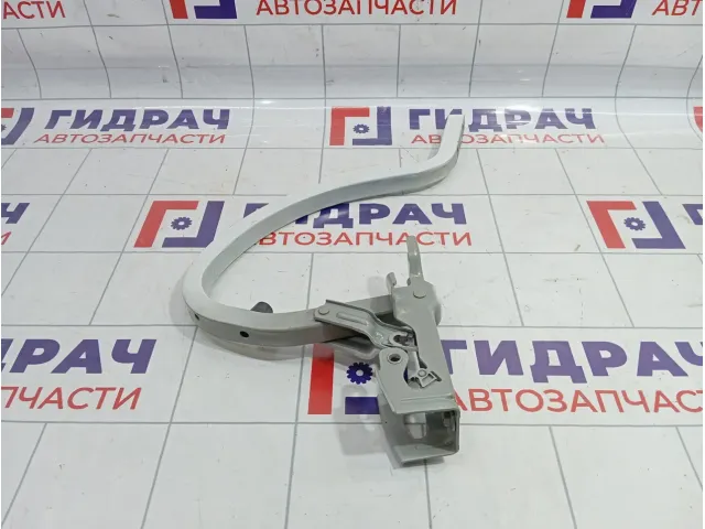 Петля крышки багажника правая Chevrolet Cobalt (T250) 52030945