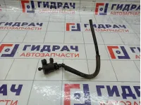 Клапан вентиляции топливного бака Chevrolet Cobalt 96985666