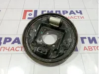 Щит опорный задний левый Chevrolet Cobalt (T250) 95490303