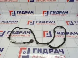 Проводка крышки багажника Chevrolet Cobalt (T250) 52036423