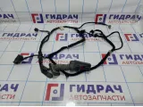 Проводка двери передней левой Chevrolet Cruze 96999250.