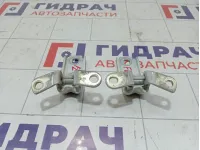 Петли двери передней левой Chevrolet Cruze