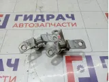 Петли двери задней левой Chevrolet Cruze
