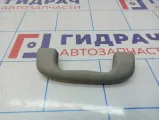 Ручка внутренняя потолочная передняя Chevrolet Cruze (J300) 09072231.