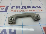 Ручка внутренняя потолочная передняя Chevrolet Cruze (J300) 09072231.
