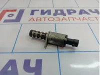 Клапан электромагнитный изменения фаз ГРМ Chevrolet Cruze (J300) . Дефект сетки.