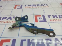 Петля капота левая Chevrolet Cruze (J300) 95406038.