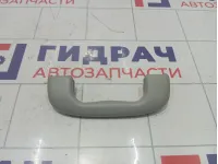 Ручка потолочная передняя Chevrolet Cruze 09072231