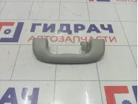 Ручка потолочная задняя левая Chevrolet Cruze 09072234