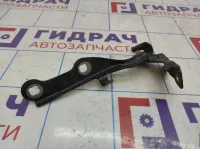 Петля капота правая Chevrolet Cruze 95406039.