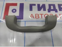 Ручка внутренняя потолочная Chevrolet Cruze 09072231. Передняя.
