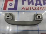 Ручка внутренняя потолочная Chevrolet Cruze 09072231. Передняя.