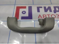 Ручка внутренняя потолочная Chevrolet Cruze 09072234. Задняя левая.