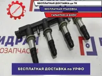 Кассета катушек зажигания Chevrolet Cruze 880347. Аналог. ERA.