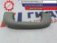 Ручка потолочная передняя левая Chevrolet Cruze 5354925.