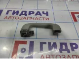 Ручка внутренняя потолочная задняя левая Chevrolet Cruze 9072234