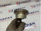 Поршень в сборе Chevrolet Cruze 25192326