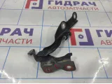 Петля капота левая Chevrolet Cruze 95227781.