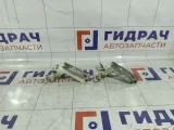Петли двери передней левой Chevrolet Cruze