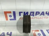 Шкив водяного насоса (помпы) Chevrolet Cruze 55565004