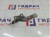 Петля капота левая Chevrolet Cruze 95406038