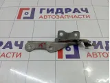 Петля капота правая Chevrolet Cruze 95406039