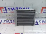 Радиатор отопителя (печки) Chevrolet Epica  96472174