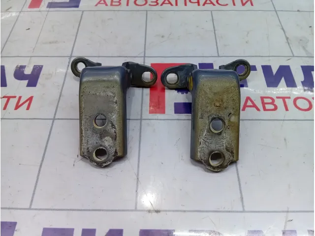 Петли двери передней правой Chevrolet Epica  95215140