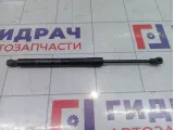 Амортизатор крышки (двери) багажника Chevrolet Epica  96474968