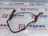 Проводка двери задняя левая Chevrolet Epica  96645490