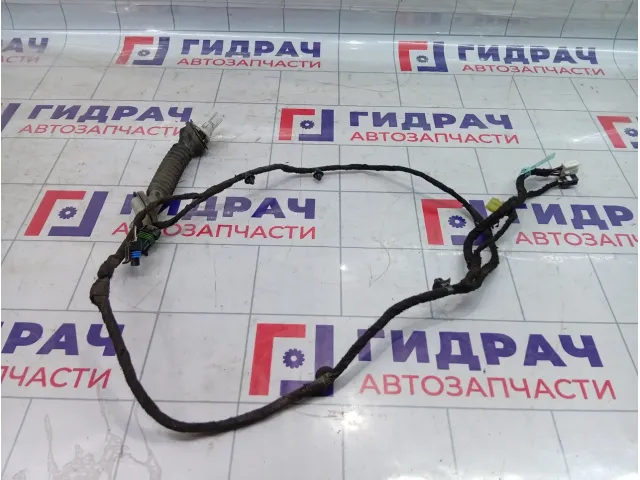 Проводка двери задняя левая Chevrolet Epica  96645490