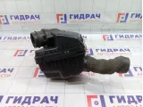 Корпус воздушного фильтра Chevrolet Epica  96295299