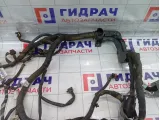 Проводка двигателя Chevrolet Epica  96645401