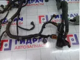 Проводка двигателя Chevrolet Epica  96645401