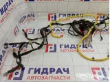 Проводка салонная Chevrolet Lacetti (J200) 96420651