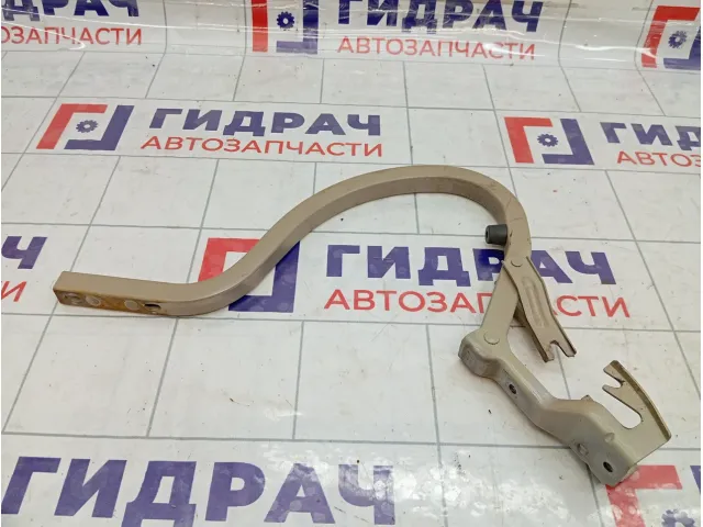 Петля крышки багажника правая Chevrolet Lacetti (J200) 96548817