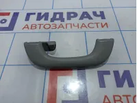 Ручка внутренняя потолочная левая Chevrolet Lacetti (J200) .
