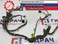 Проводка двери передней левой Chevrolet Lacetti 96408613. Дефект.