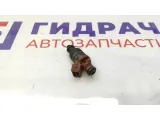 Форсунка топливная Chevrolet Lacetti 25182404.
