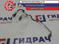 Проводка фонаря подсветки номера Chevrolet Lacetti 96190751.