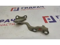 Петля капота левая Chevrolet Lacetti 96417504.