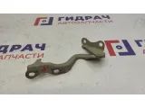 Петля капота правая Chevrolet Lacetti 96417505.
