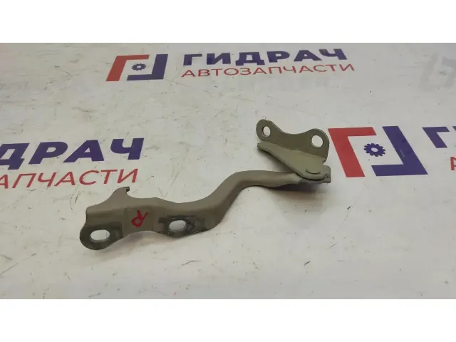 Петля капота правая Chevrolet Lacetti 96417505.