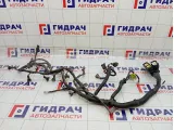 Проводка двигателя Chevrolet Lacetti
