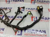 Проводка двигателя Chevrolet Lacetti