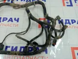 Проводка двигателя Chevrolet Lacetti 96614098