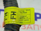 Проводка двигателя Chevrolet Lacetti 96614098
