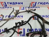 Проводка моторная Chevrolet Lacetti J235ENG