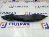 Пыльник крыла передний левый Chevrolet Lacetti 96442563