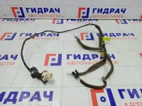 Проводка двери задней левой Chevrolet Lacetti 96613942